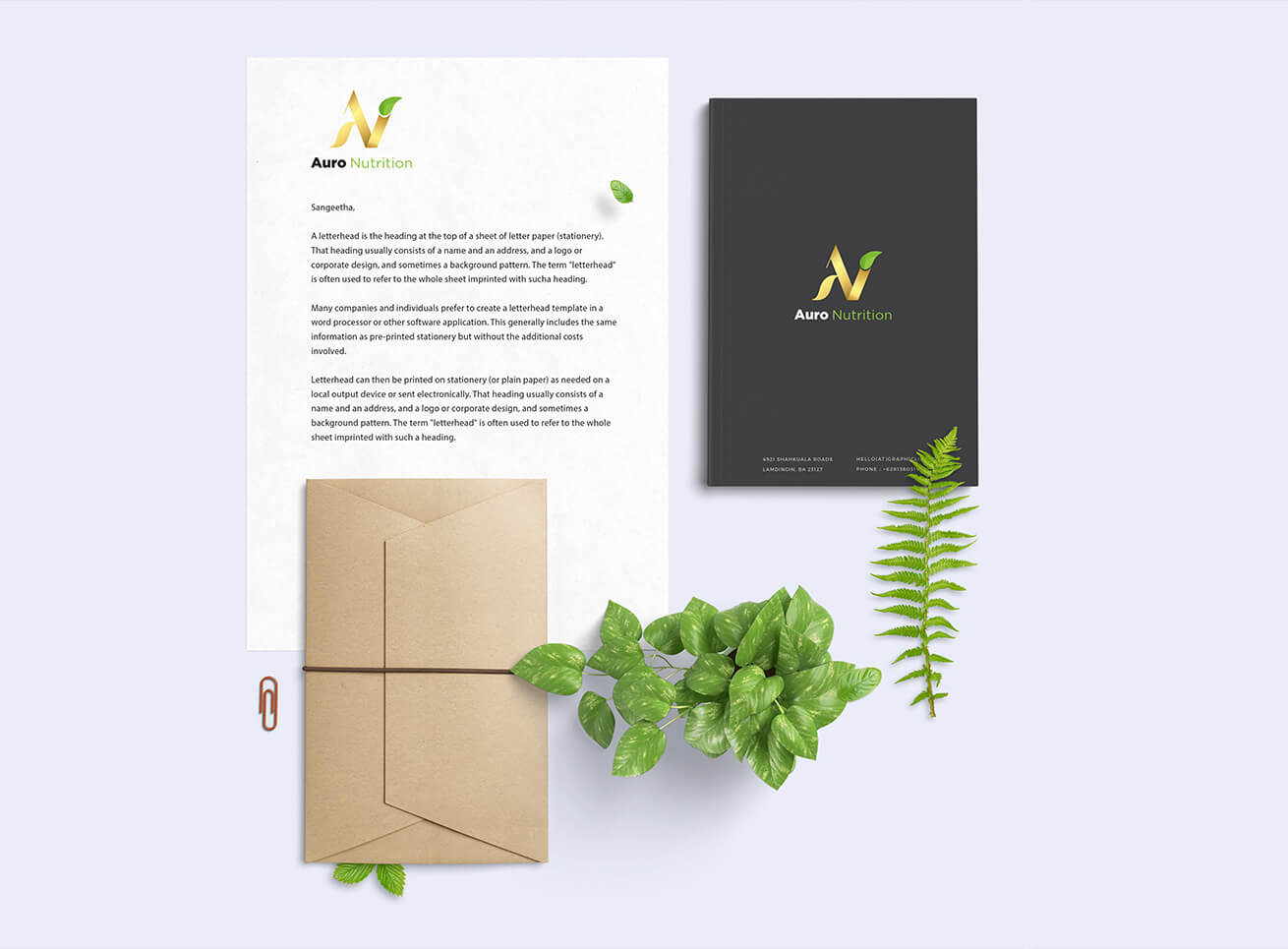 Auro nutrition Envelope